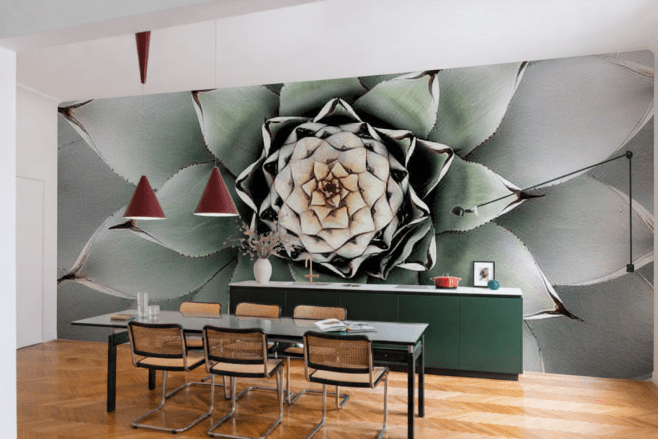 Agave Spiral