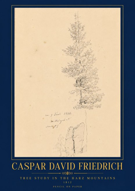 Caspar David Friedrich Tree Study in the Harz Mountains No6 - Poster