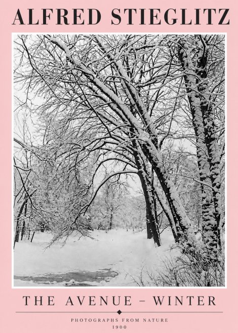 Alfred Stieglitz The Avenue – Winter No4 - Poster
