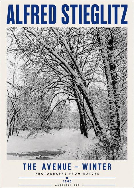 Alfred Stieglitz The Avenue – Winter No5 - Poster