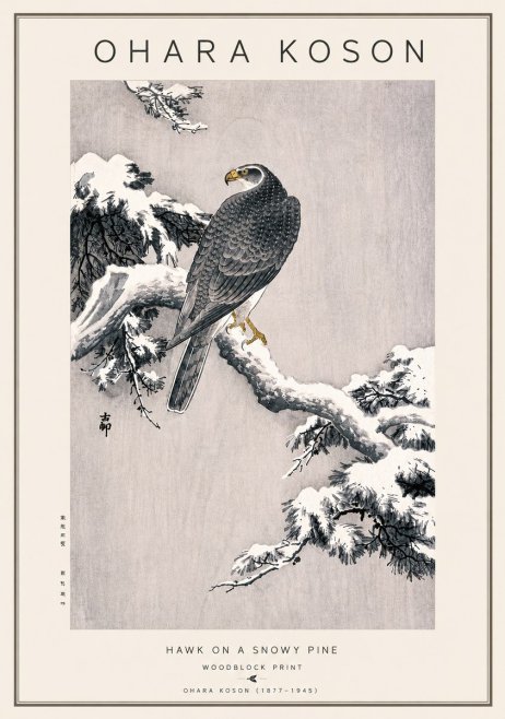 Ohara Koson Hawk on a Snowy Pine No5 - Poster