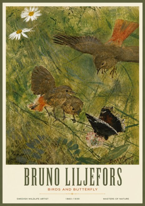 Bruno Liljefors Birds and Butterfly No3 - Poster