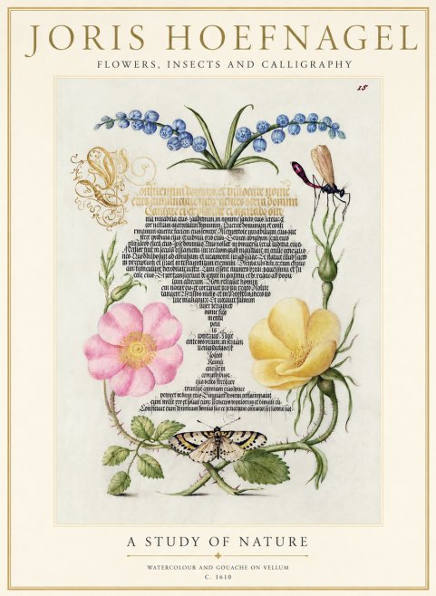 Joris Hoefnagel A Study of Nature I No1 - Poster