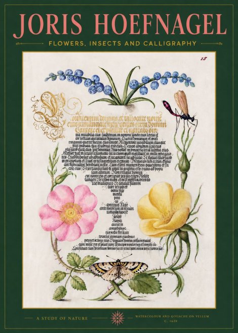 Joris Hoefnagel A Study of Nature I No2 - Poster