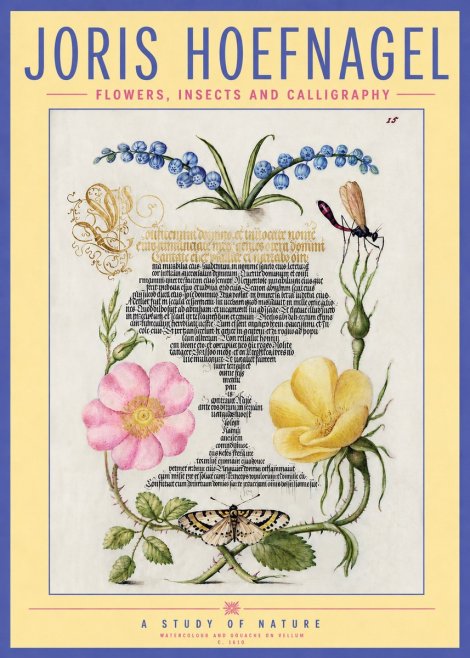 Joris Hoefnagel A Study of Nature I No3 - Poster