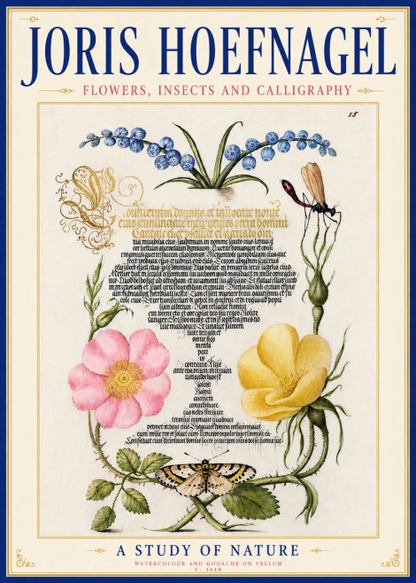 Joris Hoefnagel A Study of Nature I No6 - Poster