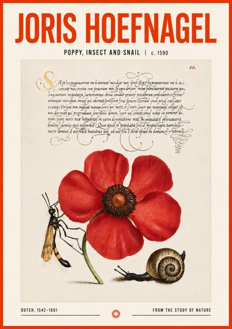 Joris Hoefnagel Poppy, Wasp & Snail No6 - Poster