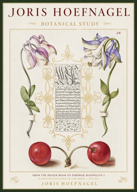 Joris Hoefnagel Botanical Study I No1 - Poster