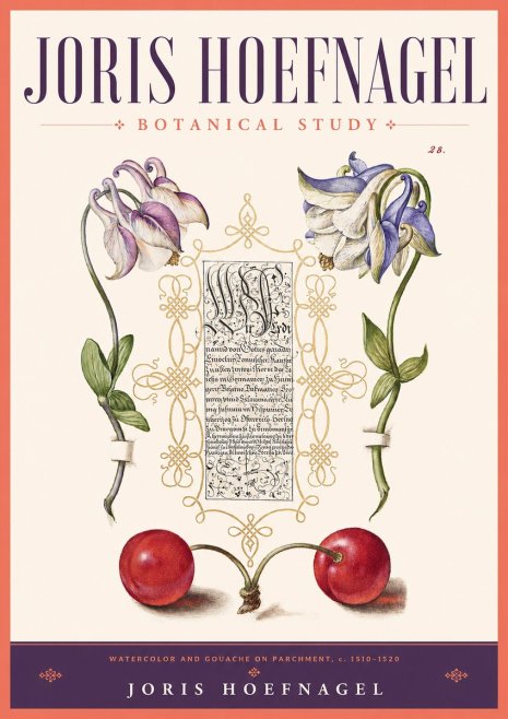 Joris Hoefnagel Botanical Study I No2 - Poster