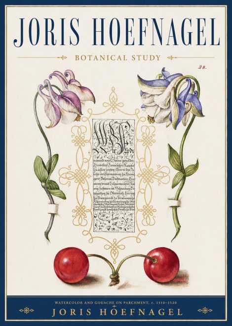 Joris Hoefnagel Botanical Study I No3 - Poster