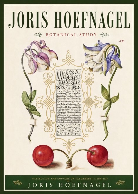 Joris Hoefnagel Botanical Study I No4 - Poster