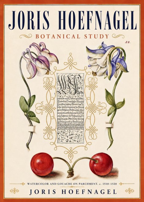 Joris Hoefnagel Botanical Study I No6 - Poster