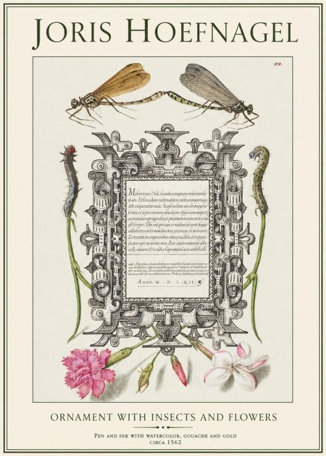 Joris Hoefnagel Ornamental Frame with Damselflies, Caterpillars and Flowers No2 - Poster