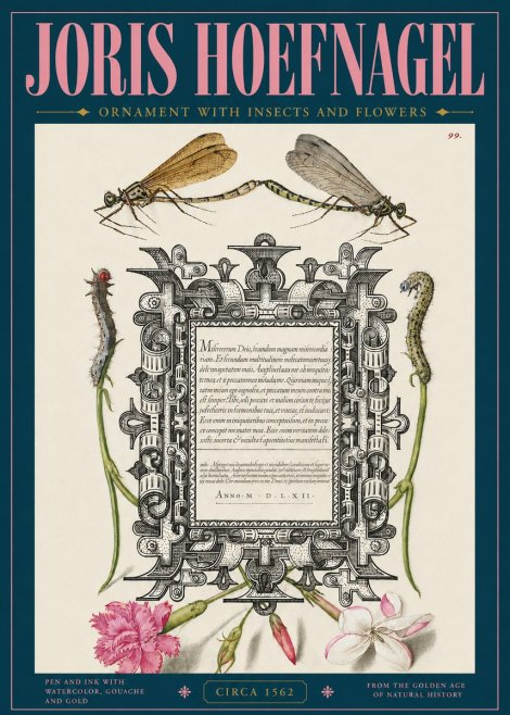 Joris Hoefnagel Ornamental Frame with Damselflies, Caterpillars and Flowers No5 - Poster
