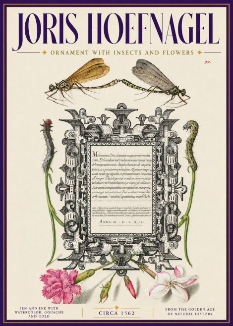 Joris Hoefnagel Ornamental Frame with Damselflies, Caterpillars and Flowers No6 - Poster