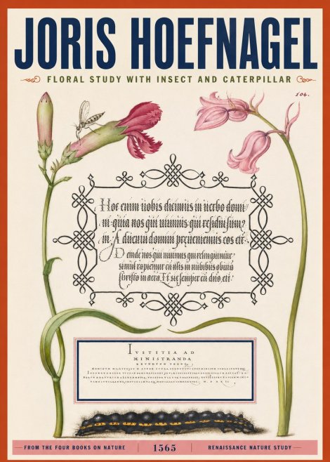 Joris Hoefnagel Floral Study with Insect and Caterpillar No2 - Poster