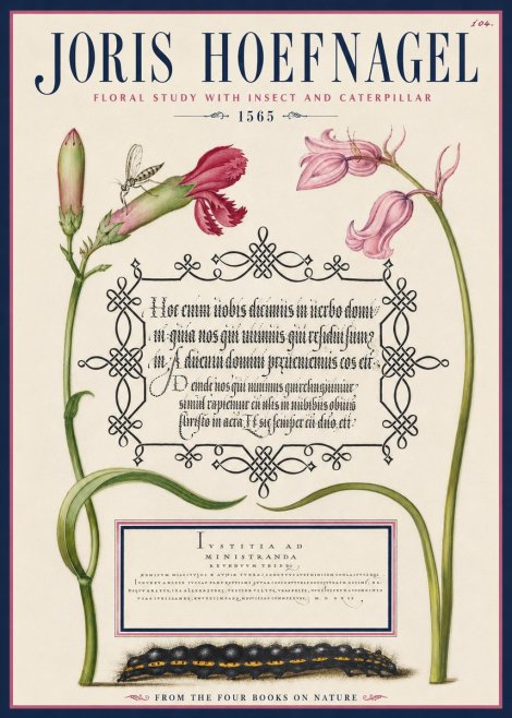 Joris Hoefnagel Floral Study with Insect and Caterpillar No4 - Poster