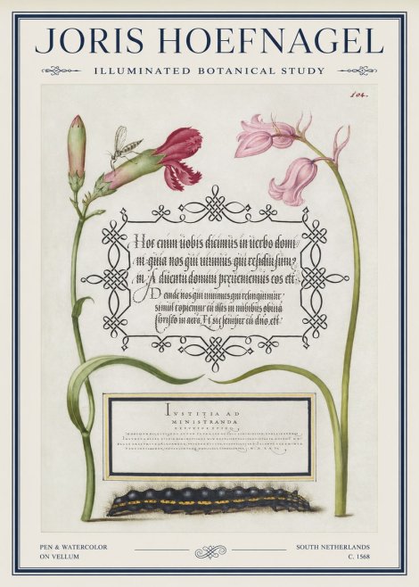 Joris Hoefnagel Floral Study with Insect and Caterpillar No5 - Poster