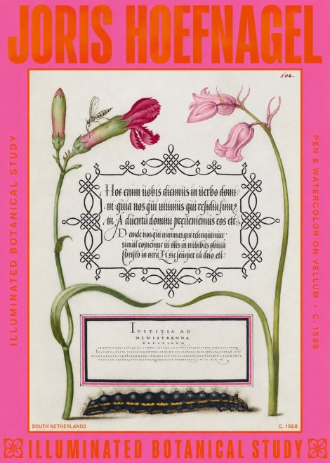 Joris Hoefnagel Floral Study with Insect and Caterpillar No6 - Poster