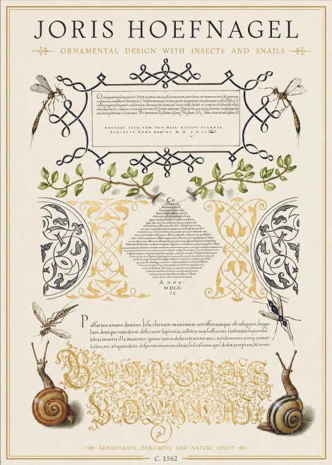 Joris Hoefnagel Memento Mori No2 - Poster