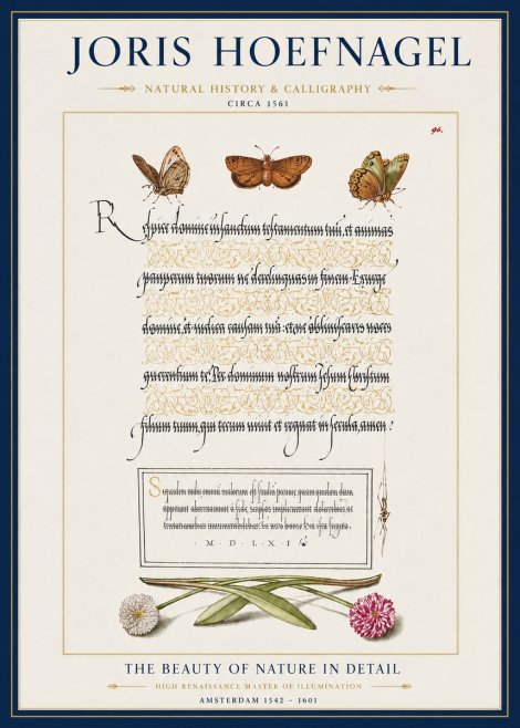 Joris Hoefnagel Butterflies, Flowers and Calligraphy Page No3 - Poster