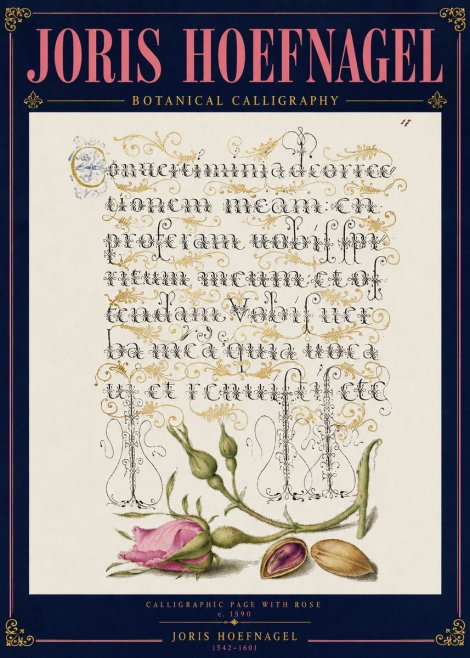 Joris Hoefnagel Calligraphic Page with Rose No4 - Poster