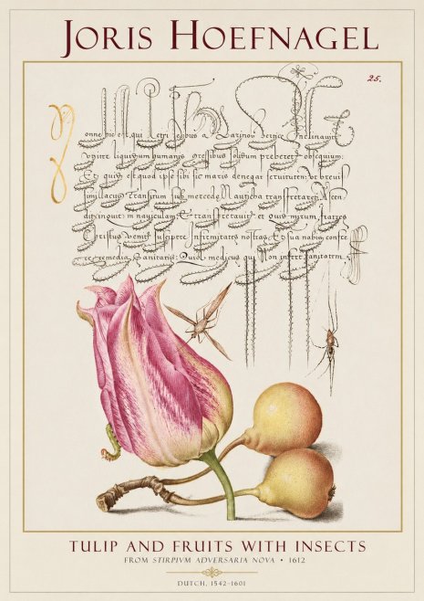 Joris Hoefnagel Tulip and Fruits with Insects No1 - Poster