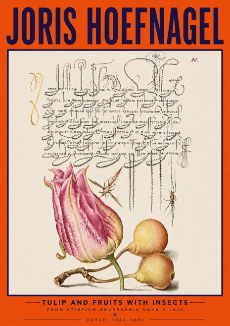 Joris Hoefnagel Tulip and Fruits with Insects No5 - Poster