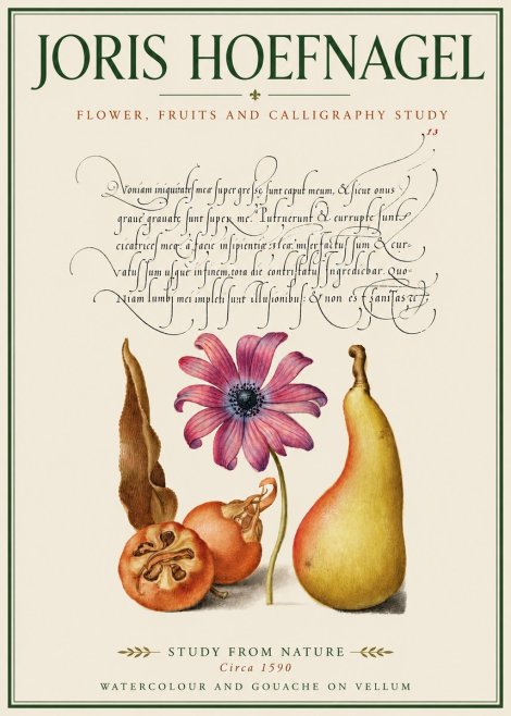Joris Hoefnagel Study of Flower and Fruits No4 - Poster