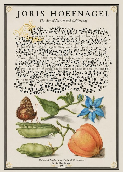 Joris Hoefnagel Study of Plants and Butterfly No2 - Poster
