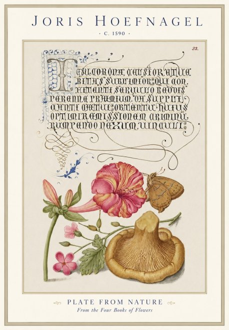 Joris Hoefnagel A Study of Nature II No2 - Poster
