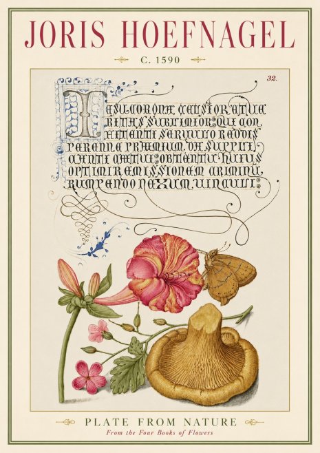 Joris Hoefnagel A Study of Nature II No5 - Poster