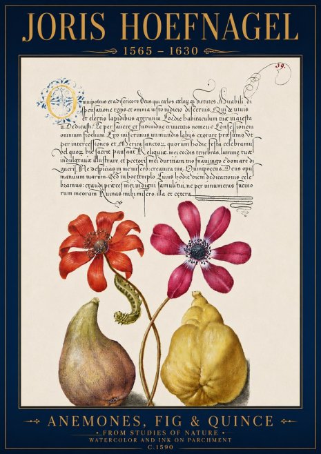 Joris Hoefnagel Flowers and Fruits No5 - Poster