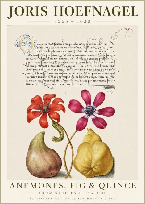 Joris Hoefnagel Flowers and Fruits No6 - Poster