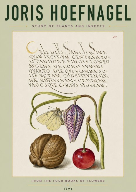 Joris Hoefnagel Study of Plants and Insects No4 - Poster