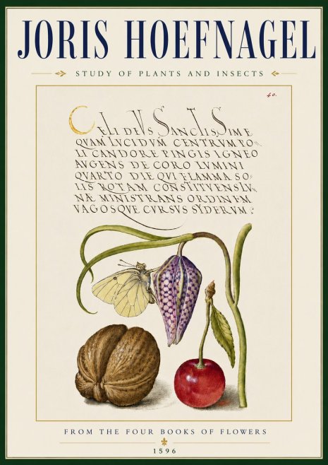 Joris Hoefnagel Study of Plants and Insects No5 - Poster