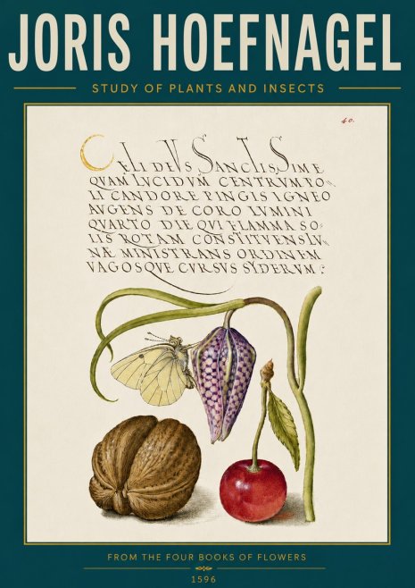 Joris Hoefnagel Study of Plants and Insects No6 - Poster
