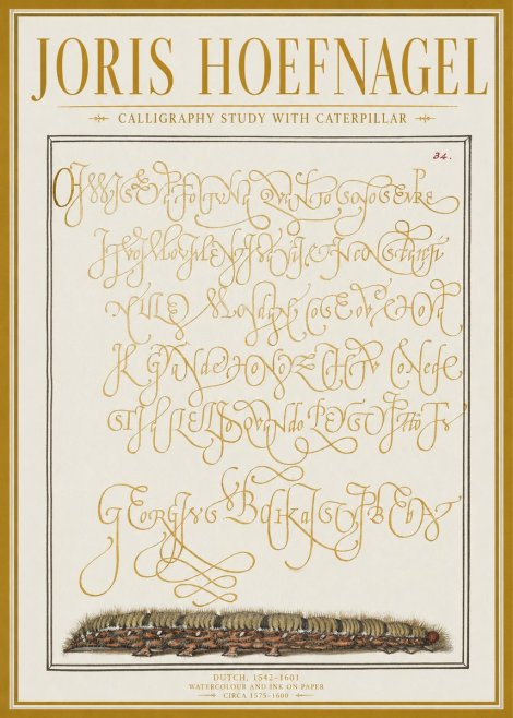 Joris Hoefnagel Calligraphy Study with Caterpillar No1 - Poster