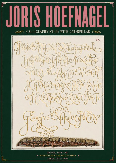 Joris Hoefnagel Calligraphy Study with Caterpillar No3 - Poster