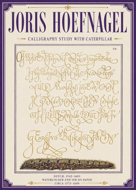 Joris Hoefnagel Calligraphy Study with Caterpillar No6 - Poster