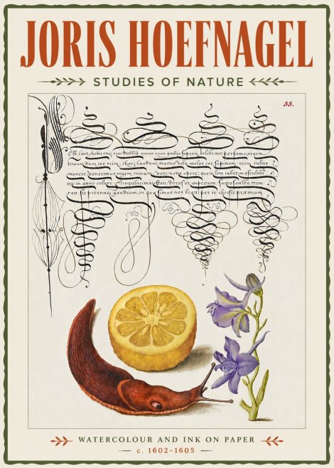 Joris Hoefnagel Studies of Nature No4 - Poster