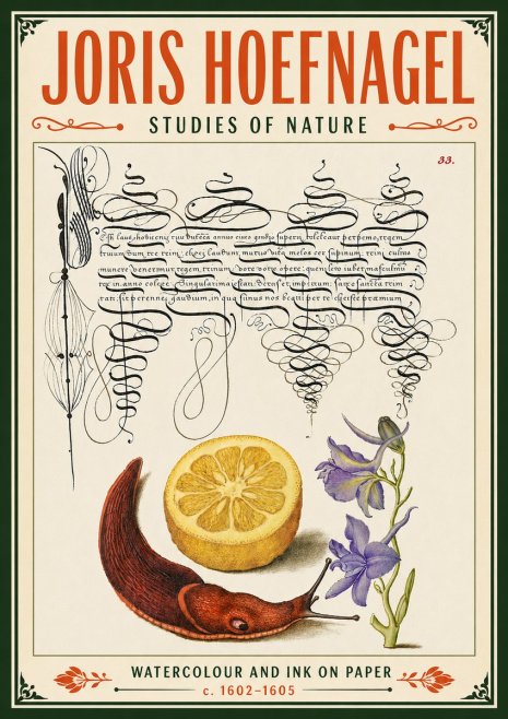 Joris Hoefnagel Studies of Nature No6 - Poster
