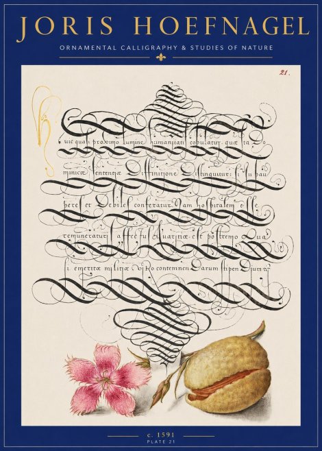 Joris Hoefnagel Ornamental Calligraphy & Studies of Nature No2 - Poster