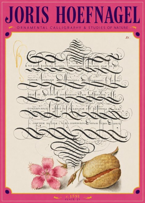 Joris Hoefnagel Ornamental Calligraphy & Studies of Nature No3 - Poster