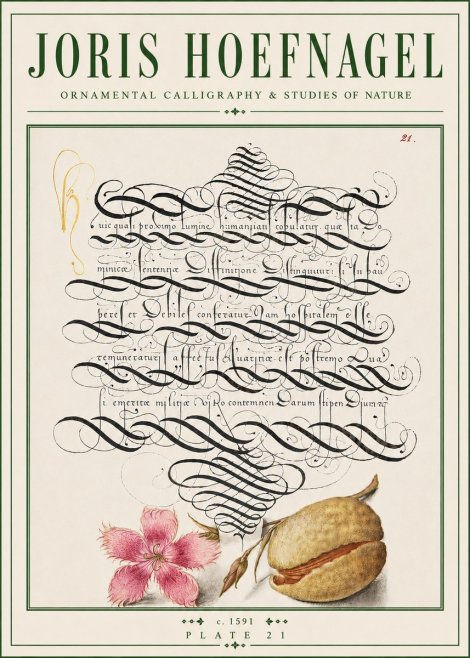 Joris Hoefnagel Ornamental Calligraphy & Studies of Nature No4 - Poster