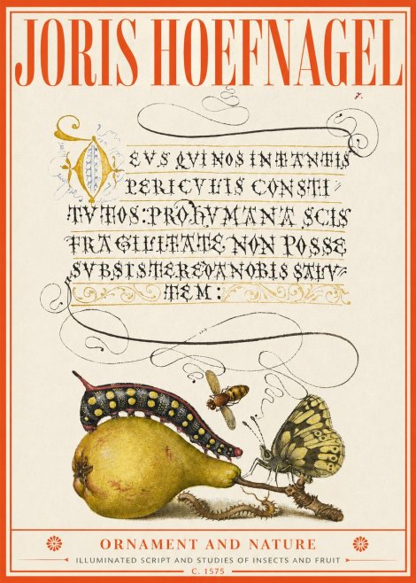 Joris Hoefnagel Ornament and Nature - Illuminated Script and Studies of Insects and Fruit No2 - Poster