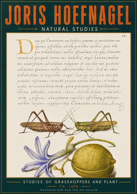 Joris Hoefnagel Studies of Grasshoppers and Plant No6 - Poster