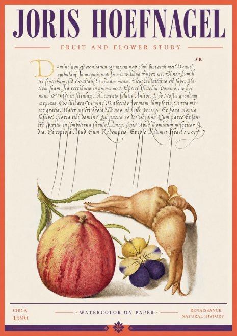 Joris Hoefnagel Fruit and Flower Study No3 - Poster