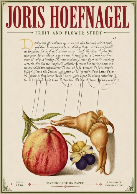 Joris Hoefnagel Fruit and Flower Study No6 - Poster