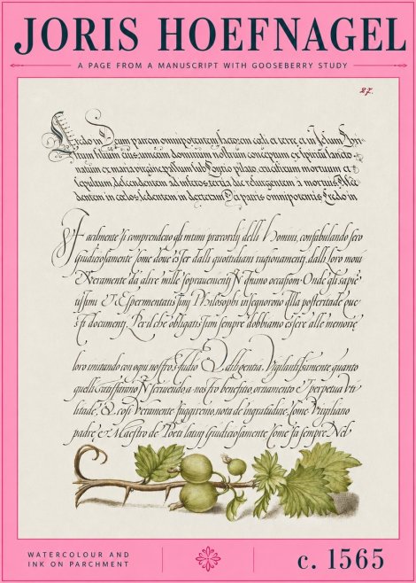 Joris Hoefnagel A Page from a Manuscript with Gooseberry Study No2 - Poster